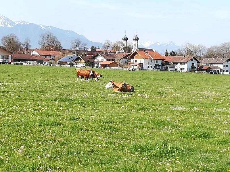 Apartment Moosblick Zwischen Bergen Und See Бенедиктбойерн Екстериор снимка